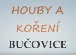 Houby a koření - Pavla Bárková - kvalitní čerstvá hlíva ústřičná a žampióny, sušené a čerstvé houby, koření, rakytníkový čaj, sirup i šťáva, mák celý - Bučovice, Vyškovsko